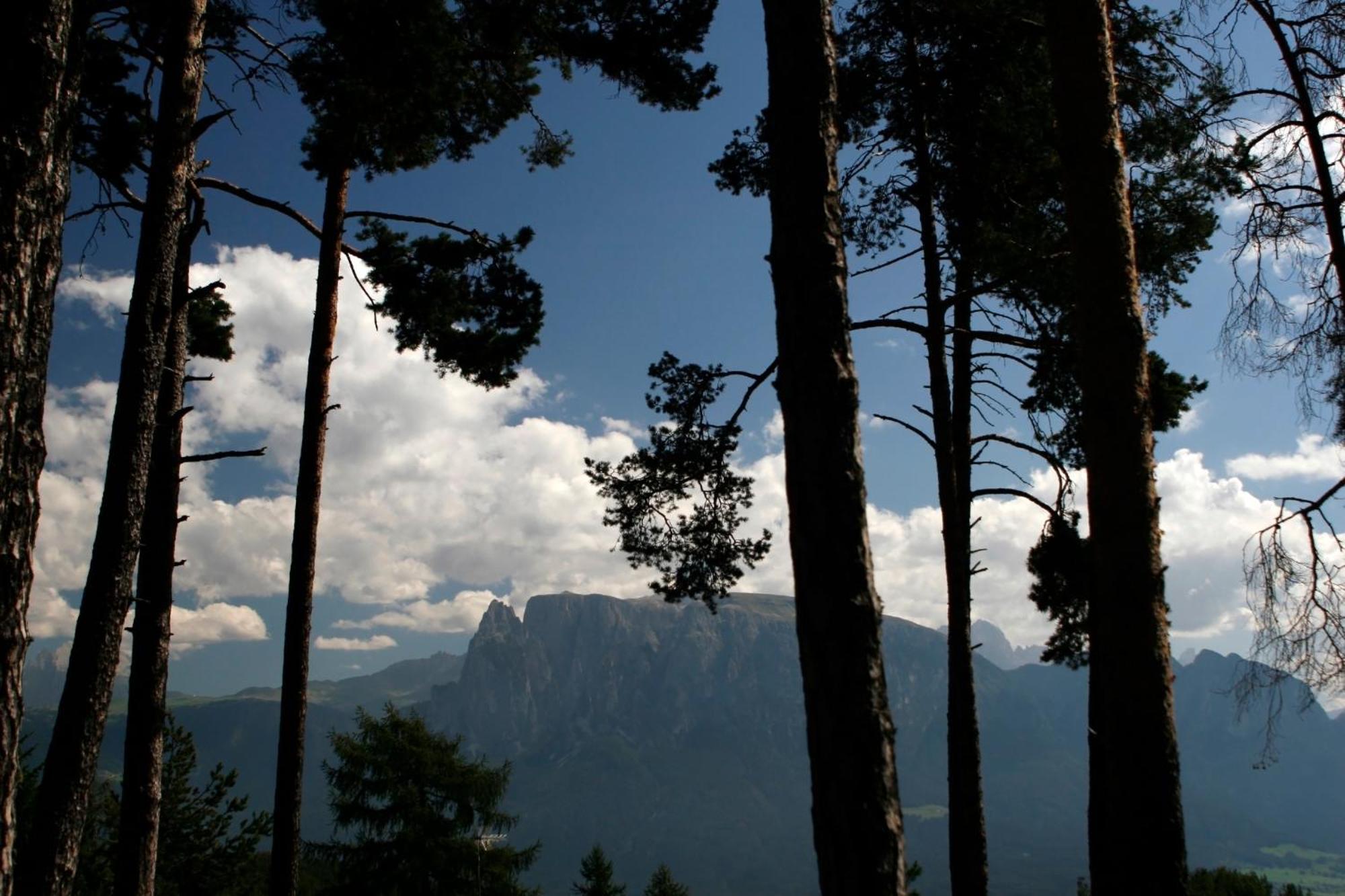 Gasthaus Bad Siess Longostagno ภายนอก รูปภาพ
