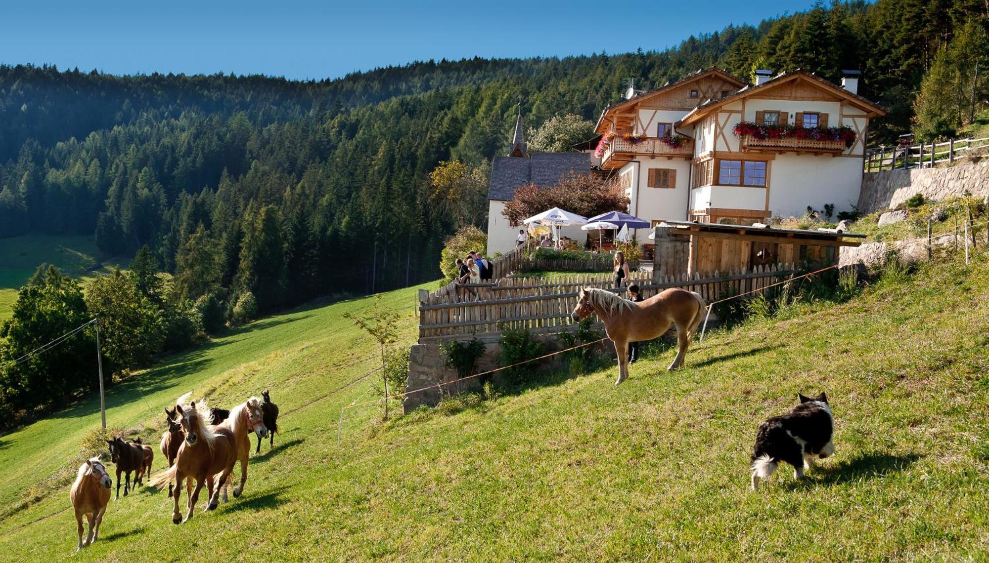 Gasthaus Bad Siess Longostagno ภายนอก รูปภาพ